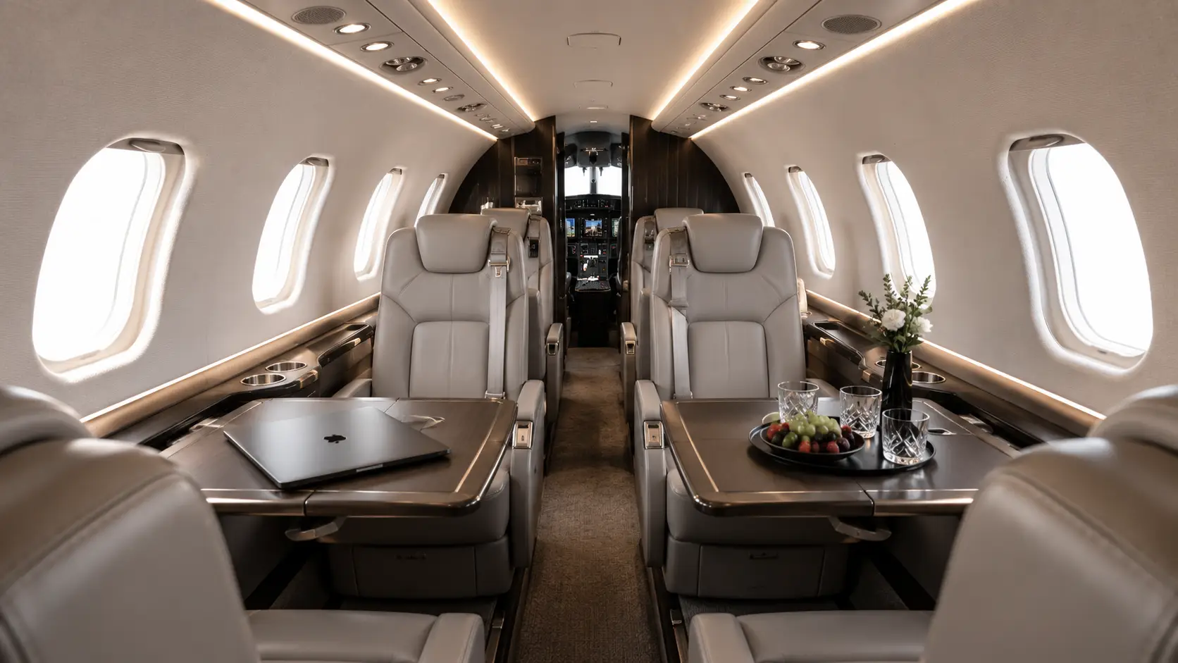 Learjet 45 — immagine 4
