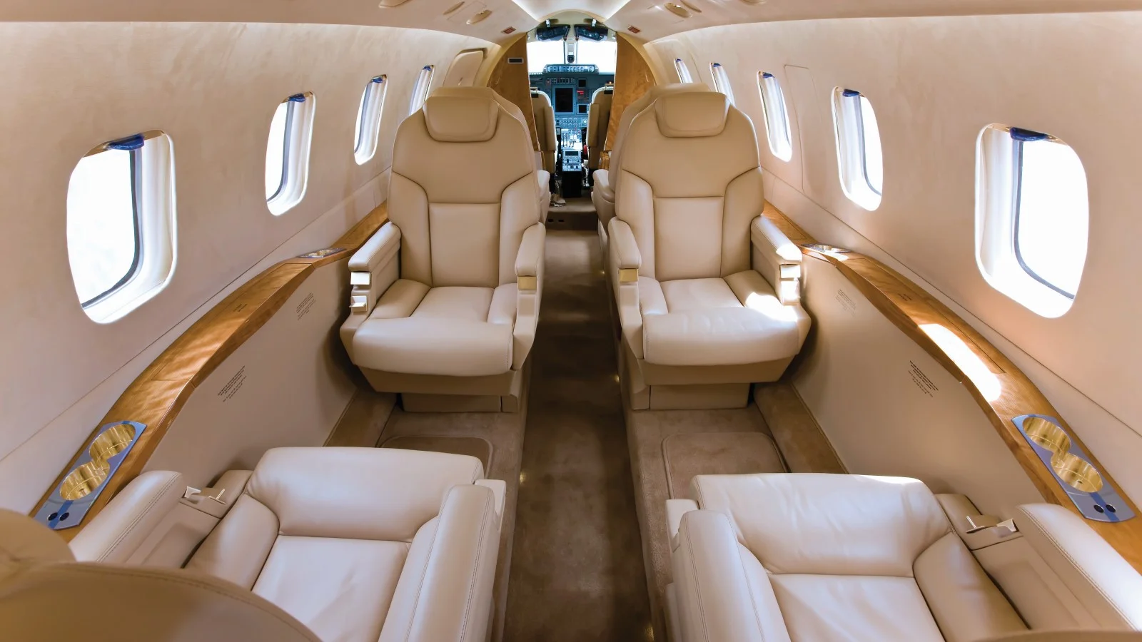 Piaggio Avanti II — immagine 4