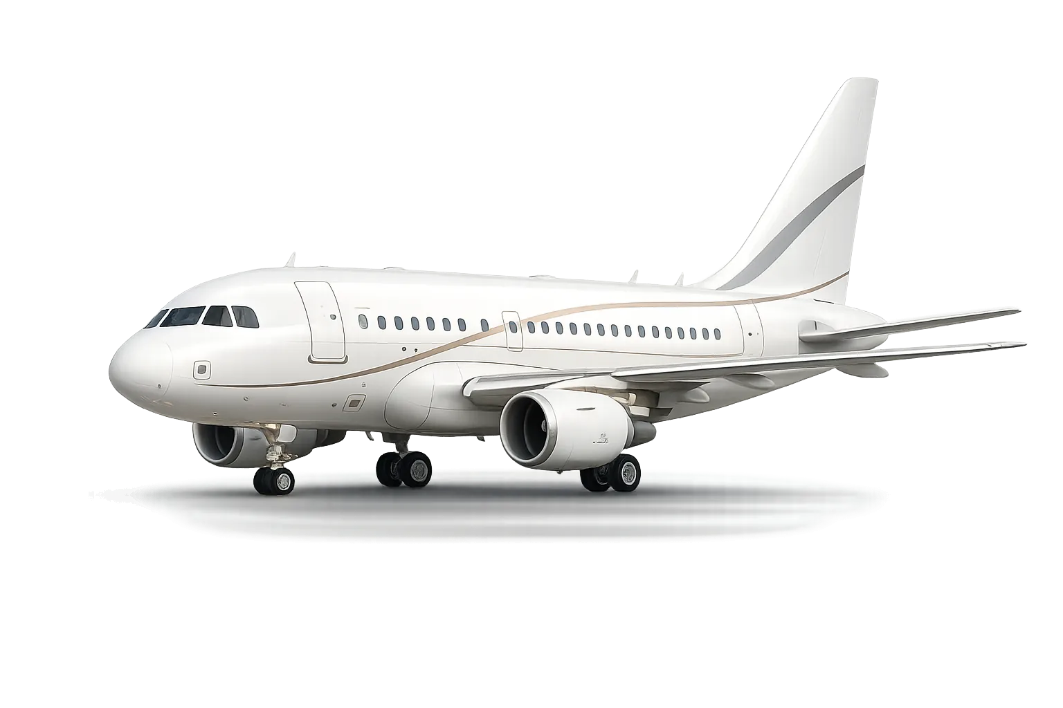Airbus 318 Elite — Private Jet Royalty