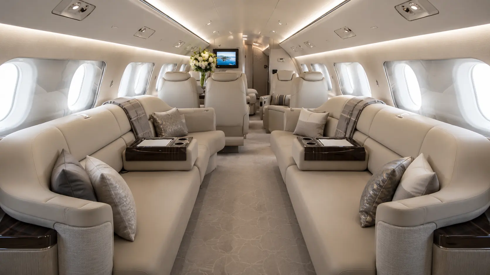 Embraer Lineage 1000 — immagine 6